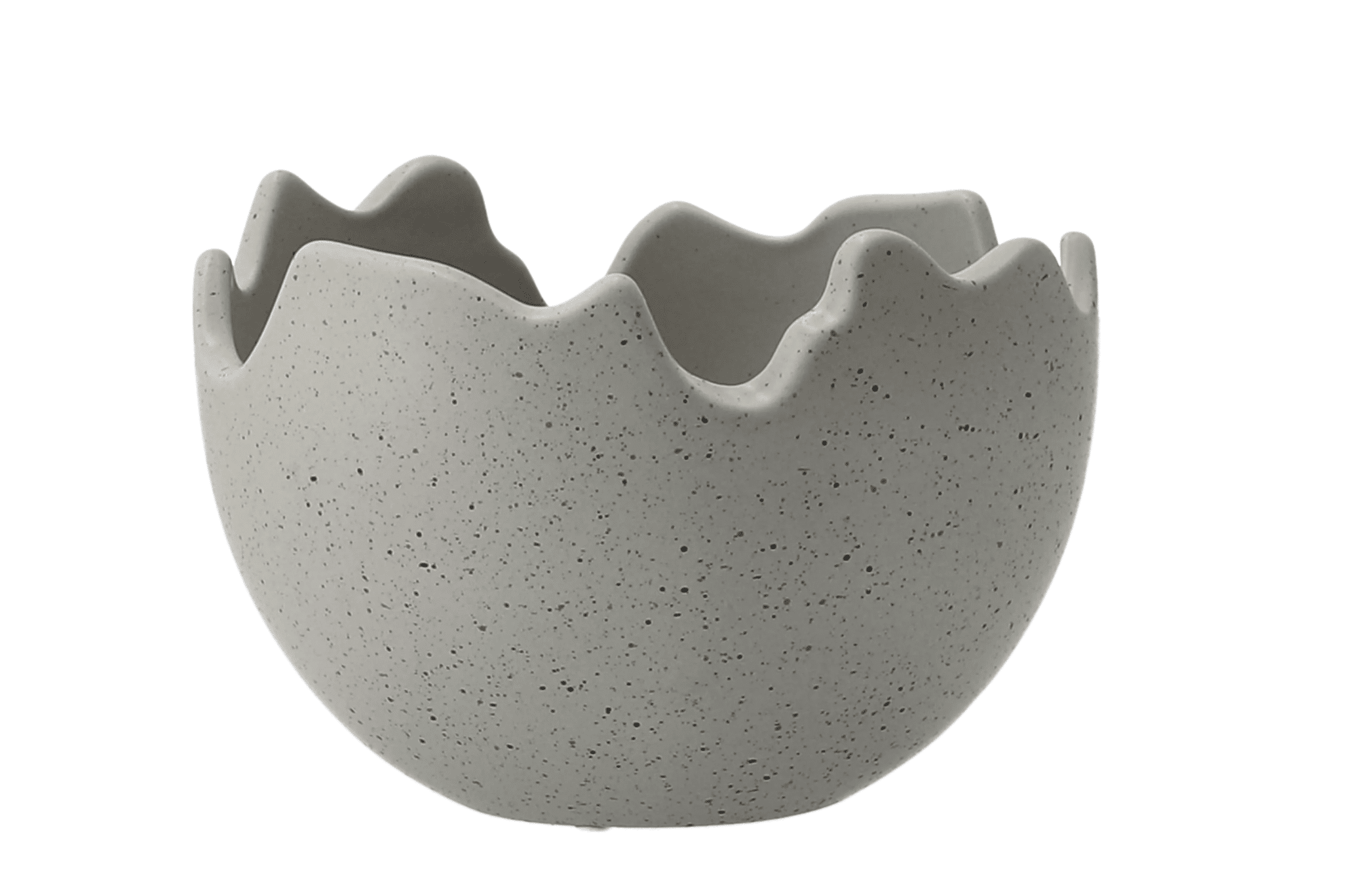 Shell Decor Bowl in Beige